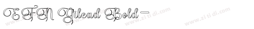 EFN Gilead Bold字体转换